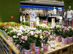 -鹿岛生活(熙地港店)