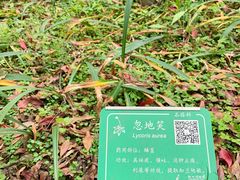 -杭州植物园