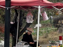 -四明山国家森林公园