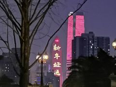 -鸿恩陶然大观园