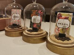 -星巴克臻选(上海陆家嘴中心店)