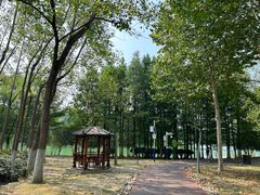 -滨湖塘西河公园