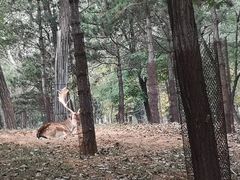 -秦皇岛野生动物园