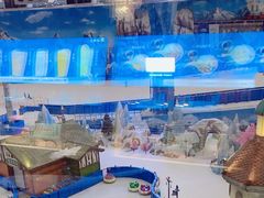 -长沙湘江冰雪世界