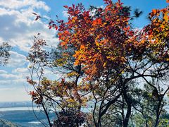-虞山风景区