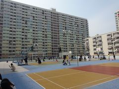 -彩虹村
