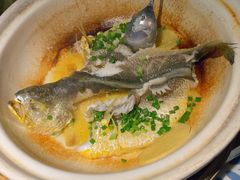 姜母旱蒸鲜黄鱼-香阁餐厅·常州菜·常州菜代表品牌(新北奥体店)
