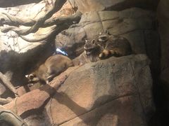 -波塞冬旅游度假区