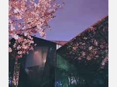 -龙美术馆(西岸馆)