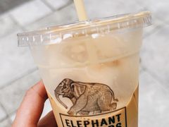 -Elephant Grounds(STARSTREET)