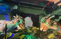 -恐龙探索乐园(磁器口店)