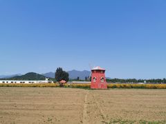 -北京东方普罗旺斯薰衣草庄园