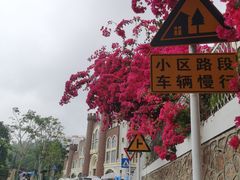 -小南山公园