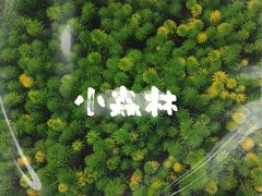 -黄龙溪欢乐田园
