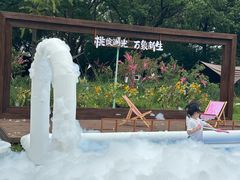 -金鸡湖桃花岛