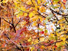 -香山公园-东宫门售票处