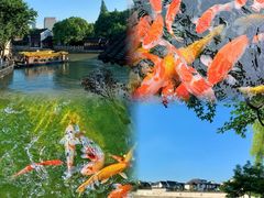-寒山寺