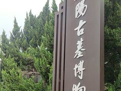 -洛阳古墓博物馆