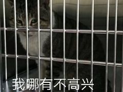 -艾贝尔宠物医院·狂犬免疫点(江山金象城店)