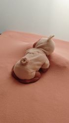 -玛瑞莎孕婴童摄影到家拍