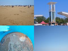 -日照海滨国家森林公园