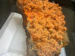 -湖南省地质博物馆