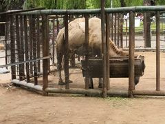 -祥源·阜阳生态乐园