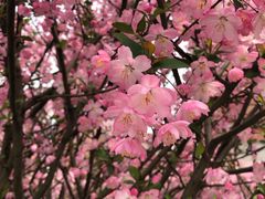 -南山风景名胜区