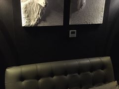 -极光点播影院(天一广场国购店)