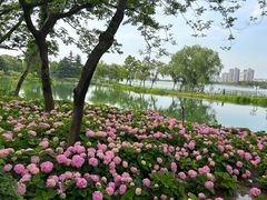 -金银湖国家城市湿地公园