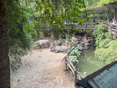 -长鹿旅游休博园