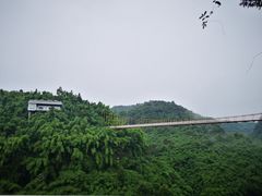 -芦沟竹海