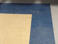 -上海市东方医院(总院)