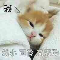 -番禺宾馆丽苑厅