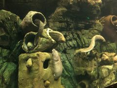 -珠海长隆海洋王国