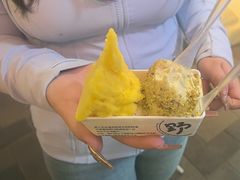 -野人先生现做冰淇淋(北京顺义祥云小镇店)