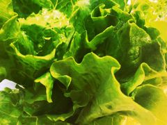 -West10 西拾·西餐厅·创意菜(未来科技城店)