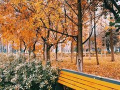 -长安大学(北校区)