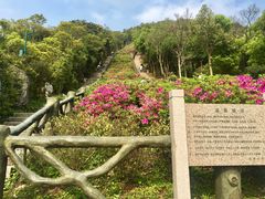 -梧桐山风景名胜区