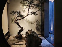 -山塘渡·苏式园林餐厅