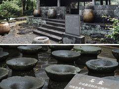 -海口火山口国家地质公园