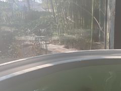 -春晖园度假酒店温泉