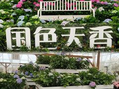 -盈香心动乐园