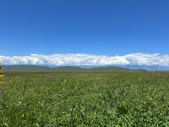 -新疆那拉提国家旅游度假区
