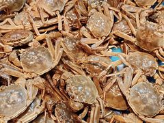 -黑金·寻焰自助百汇·烤肉·火锅(中街店)
