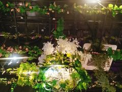 -聚缘·湘味音乐餐厅party(罗湖店)