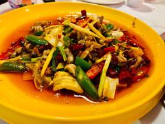 爆炒双脆-川道拐耗儿鱼(置信路店)