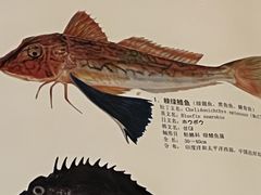 -镹·鱼料理  国产鱼使用店