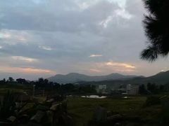-大姆山草场