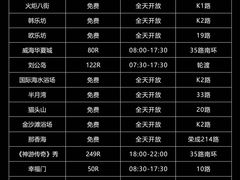 -威海大水泊国际机场